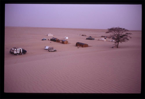 Camp Sahara